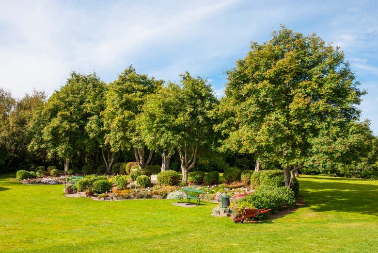 Jardin Botanique d'Akureyri