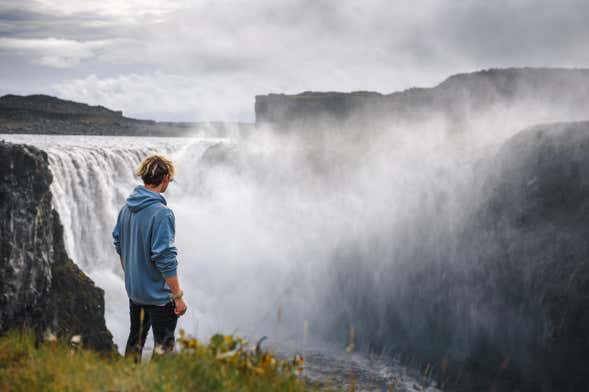 Excursion aux cascades de Godafoss, Selfoss et Dettifoss