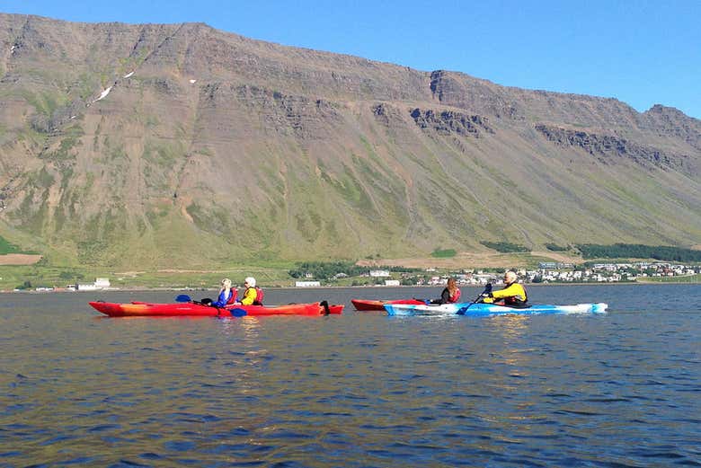 Balade en kayak dans la baie