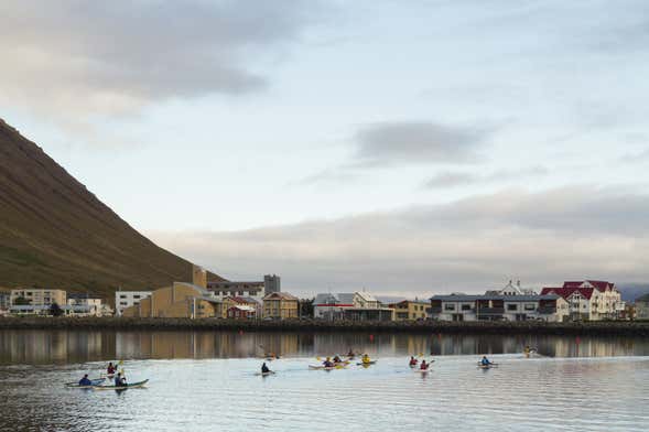 Visite en kayak dans la baie d'Isafjordur