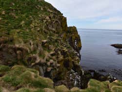 Falaises de Borgafjordur Eystri