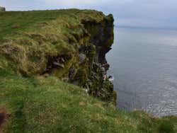 Falaises à Látrabjarg