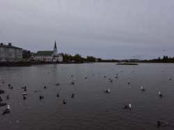 Vue panoramique du lac Tjörnin