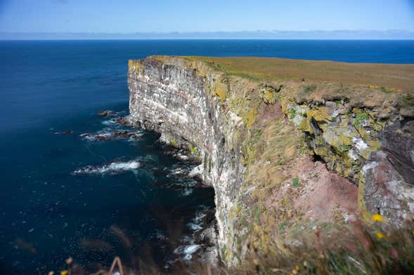 Balade en jeep à Látrabjarg et à Raudasandur