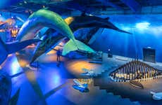 Billet pour Whales of Iceland
