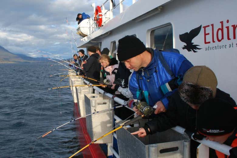 Pêche à Reykjavik